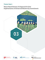 Cover giz iisd ufz nature-based solutions biodiversity climate